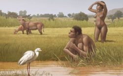 現代人の直接の先祖か？エチオピアで発見された化石に「ホモ・ボドエンシス」と命名