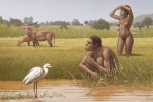 現代人の直接の先祖か?エチオピアで発見された化石に「ホモ・ボドエンシス」と命名
