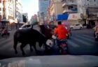 逃走した牛がバイクに乗った女性を襲うなどして7人が負傷【中国】