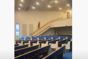 教会内に野生のシカが侵入、遭遇した牧師もびっくり！