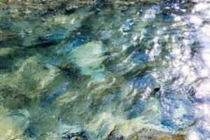 ハイキング中の男性、アルコール度数1.2%の小川を発見【ハワイ】