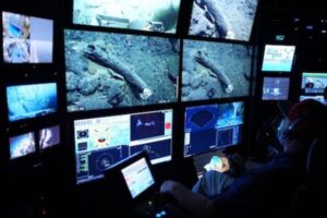 アメリカの海底でマンモスの牙を発見・回収、水深3kmに残っていた