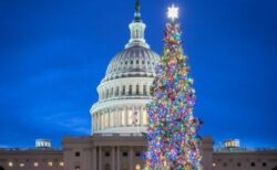 米連邦議会前で巨大なツリーの点灯式、色とりどりの光がライトアップ