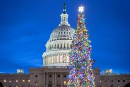 米連邦議会前で巨大なツリーの点灯式、色とりどりの光がライトアップ