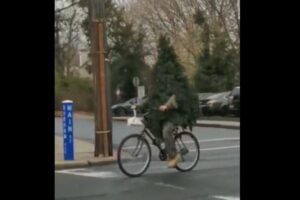 ツリーに変身した人や、クリスマスの飾りつけをした車が出現