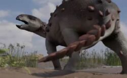 チリで発見された恐竜、尻尾の先端に7つの刃がついていた