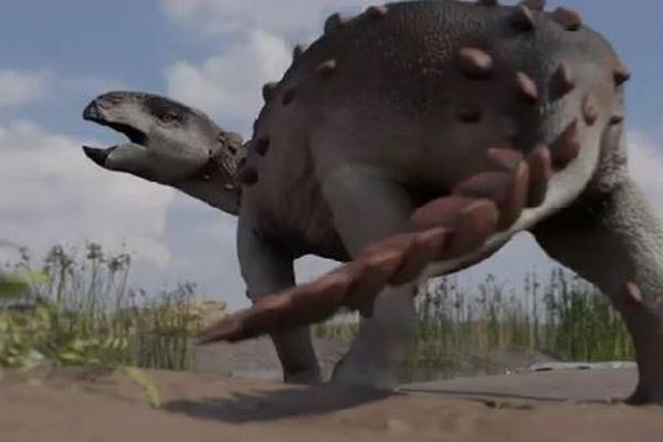 チリで発見された恐竜、尻尾の先端に7つの刃がついていた