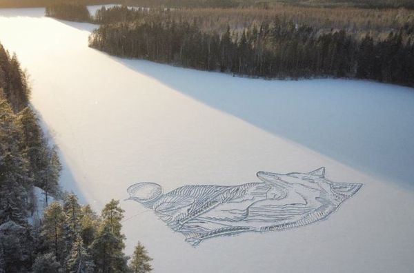 湖の氷に毎年絵を描いているアーテイスト、今年は巨大なキツネを描く