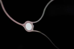 コンピューターのチップを脳に埋め込まれた男性、考えるだけでツイートに成功