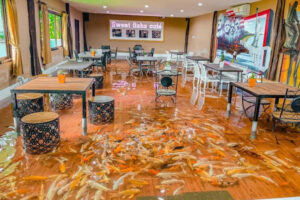 床に錦鯉が泳ぐタイのカフェがユニーク