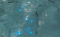 ロシアの辺境に現れた光る雪が幻想的