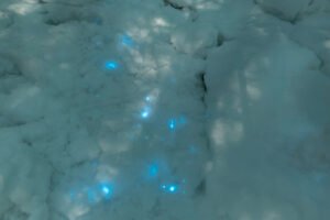 ロシアの辺境に現れた光る雪が幻想的