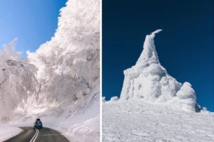 凍り付いた樹々の間を走り抜ける1台の車。フォトグラファーがとらえた風景が幻想的