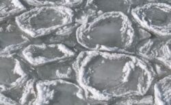 アメリカの湖面に現れた、パンケーキ状の氷が不思議【動画】