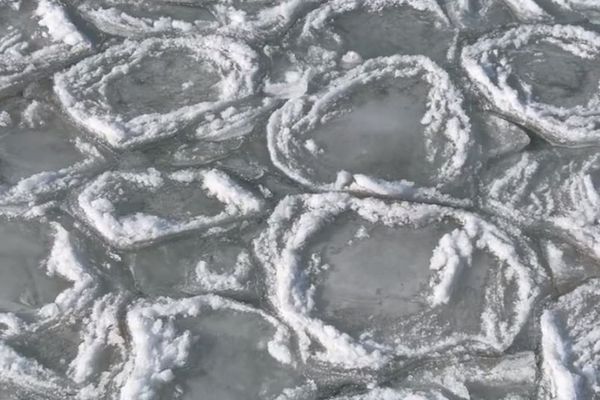 アメリカの湖面に現れた、パンケーキ状の氷が不思議【動画】