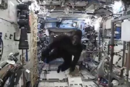 ISSでゴリラの格好をして遊ぶ宇宙飛行士、動画が再び話題に