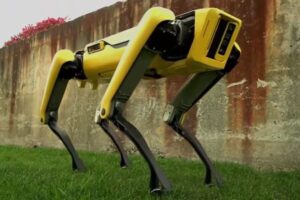 ハワイの警察が犬型ロボットを使い、ホームレスの体温を測定、非人間的だと非難の声