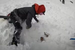 米で2人の学生が、雪崩に埋まったワンコを救出【動画】