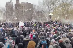 ニューヨークで大雪が発生、大規模な雪合戦が勃発