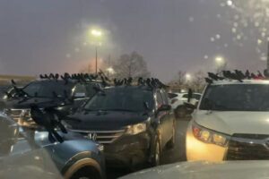 テキサス州の駐車場に無数の鳥が出現、車の上に並ぶ姿が不気味