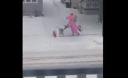 ピンク色のユニコーンを着て雪かきをする男性が、通りで目撃される
