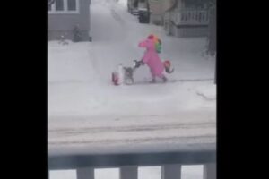 ピンク色のユニコーンを着て雪かきをする男性が、通りで目撃される