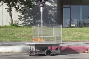 金魚がクルマを思い通りに運転できると判明