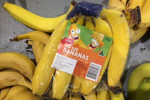フランスで野菜や果物のプラスチック包装を禁止、2022年元旦から施行