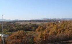 ある人物が韓国側から北朝鮮へ逃亡、非武装地帯を通り保護を求める