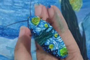 【閲覧注意】なぜ？ あの嫌われ者の黒い虫に魅了された2人のアーティスト