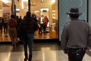 NYの「ルイ・ビトン」で大胆な万引き事件、警備員が何もせずに傍観