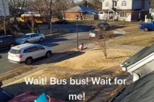 待っ~~~て!スクールバスに声を掛け、全力で走る女の子【動画】