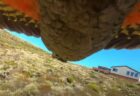 NZでオウムが「GoPro」を盗み、飛んでいる自分の様子を撮影
