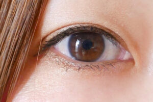 人間が見ているのは15秒前の世界だった:大学調査