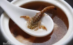 広東省の人たちが食べるサソリのスープが恐ろしい