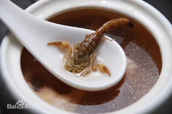 広東省の人たちが食べるサソリのスープが恐ろしい