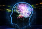 60歳まで人間の脳の処理速度は衰えない：ドイツ研究