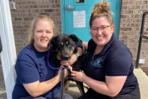 「ゲイだから」と無責任な飼い主に捨てられたワンコ、無事幸せを手に入れる