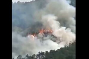 中国東方航空のボーイング737が墜落、132人搭乗、生存は絶望的か