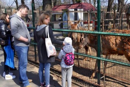 ウクライナのオデッサで動物園を再開、ロシア軍の侵攻以来初めて