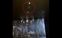 『バットマン』を上映中の映画館内にコウモリが出現、映画が一時中断に