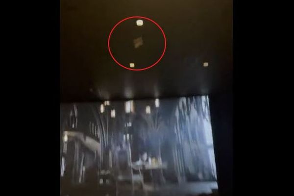 『バットマン』を上映中の映画館内にコウモリが出現、映画が一時中断に