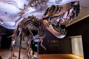 高額で落札された貴重なT-rexの全身骨格、その行方が明らかに