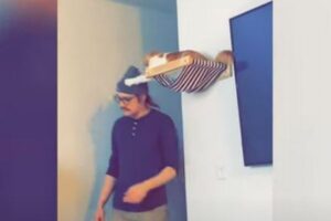 待ち構えて、飼い主の帽子を盗んでしまうニャンコが可愛い