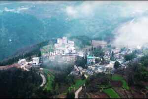 中国の山奥に、電気自動車「テスラ」の村がある