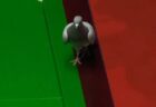 スヌーカー世界選手権の会場にハトが乱入、台の上に降り立つ