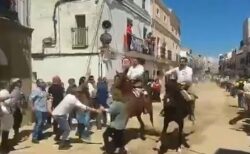 スペインの祭りで、道を横断しようとした女性らが、レース中の馬と衝突【動画】