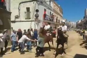 スペインの祭りで、道を横断しようとした女性らが、レース中の馬と衝突【動画】