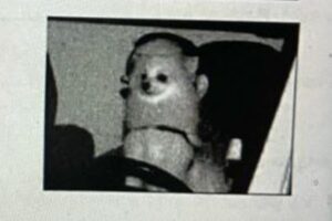 ドイツで犬が運転していた？スピード違反の写真に小型犬が映っていた