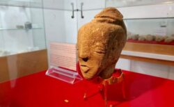 パレスチナ人の農民が偶然見つけた石像、4500年前の女神の頭部だった！
